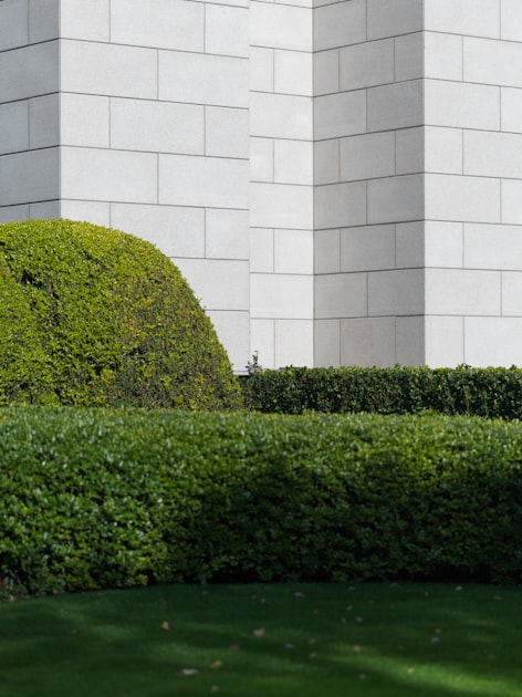 Creative Hardscaping Ideas
