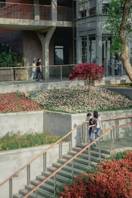 Commercial Landscaping Solutions