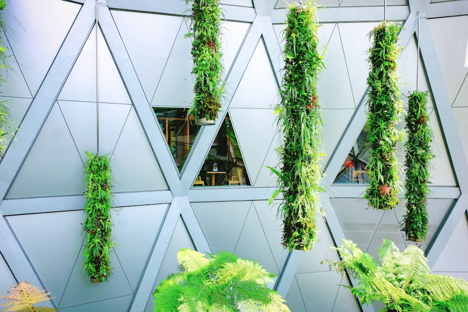 Landscape Maintenance Tips