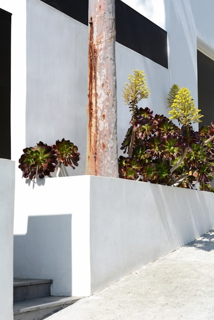 Transform Your Outdoor Spaces